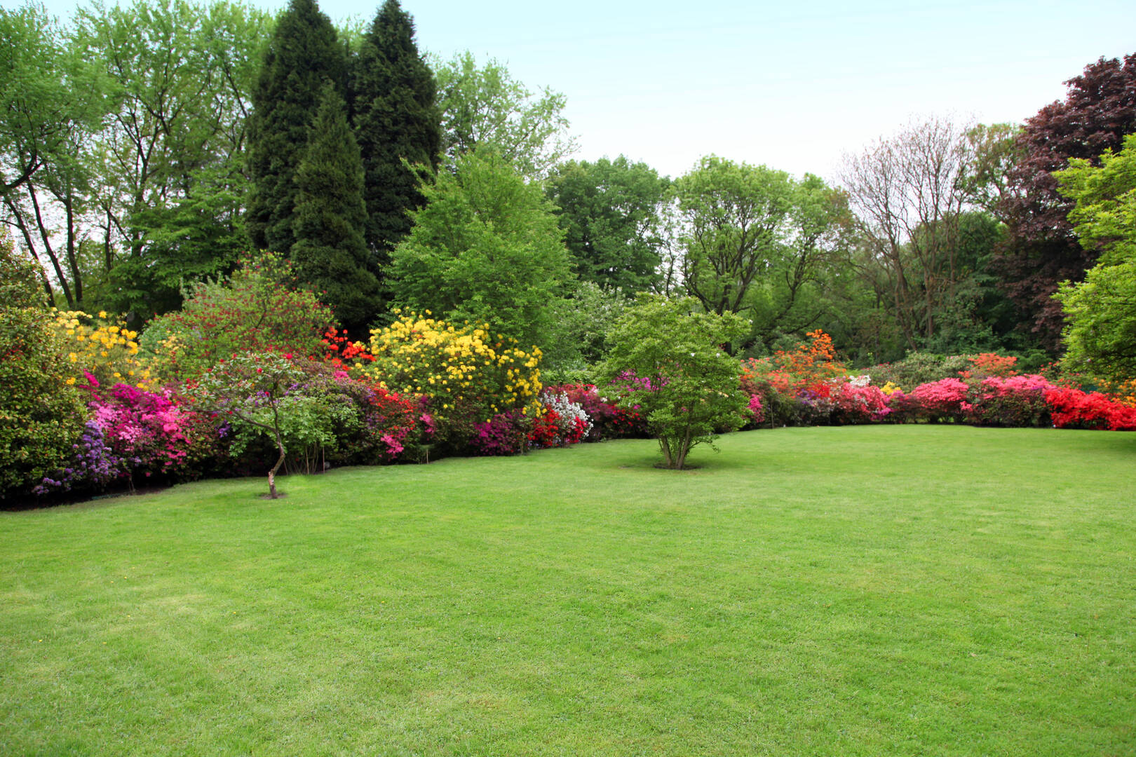 Platinum Lawns