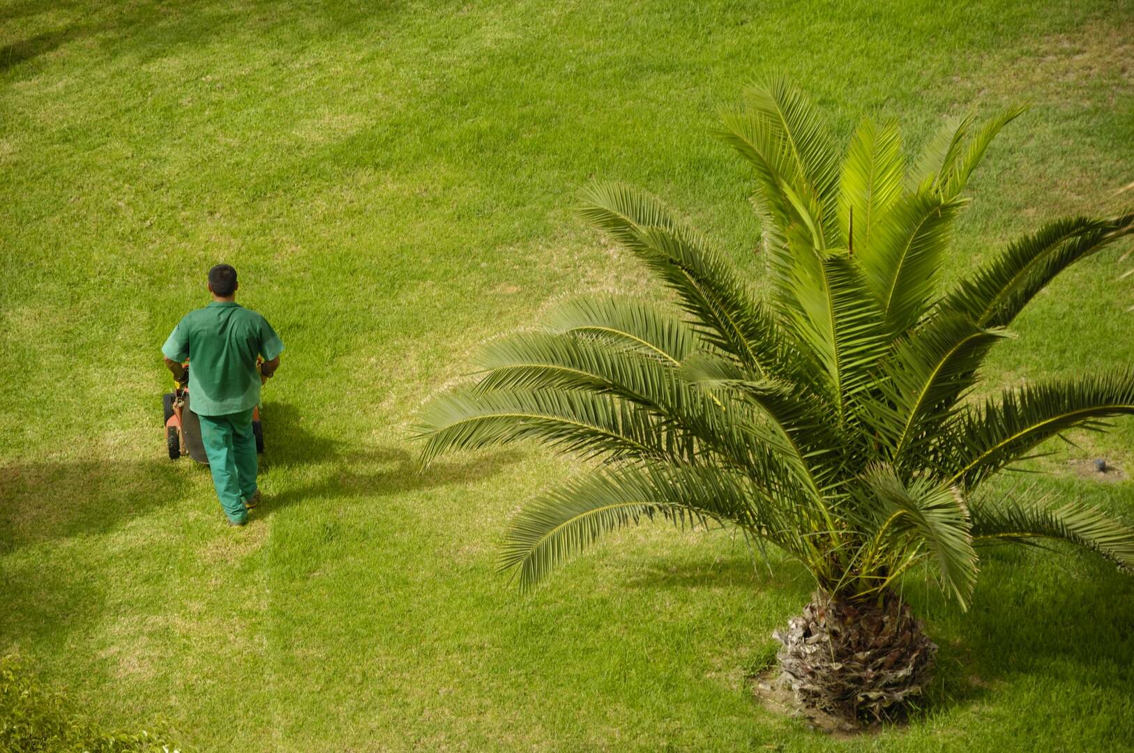 To Do Land Management LLC